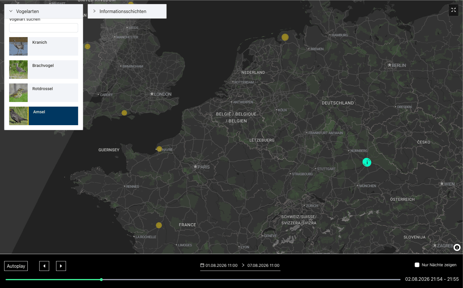 ZUG-BirdNet – Migratory Bird Detection Visualization